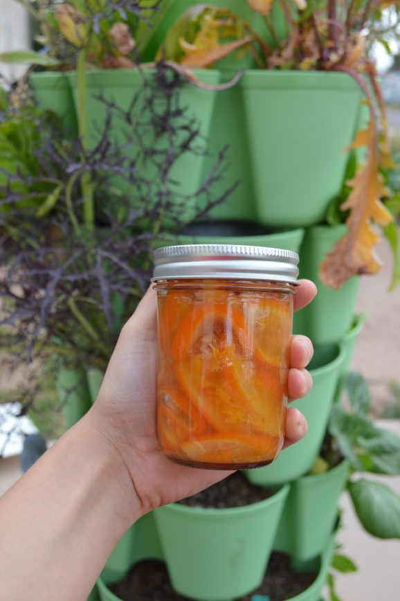 Spice Honey Orange Slices in Jar