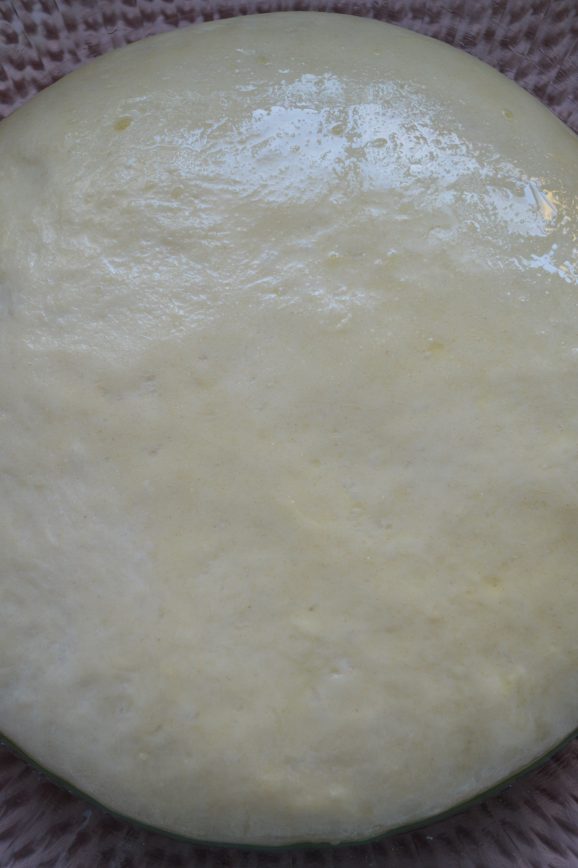 This image shows properly risen pizza dough